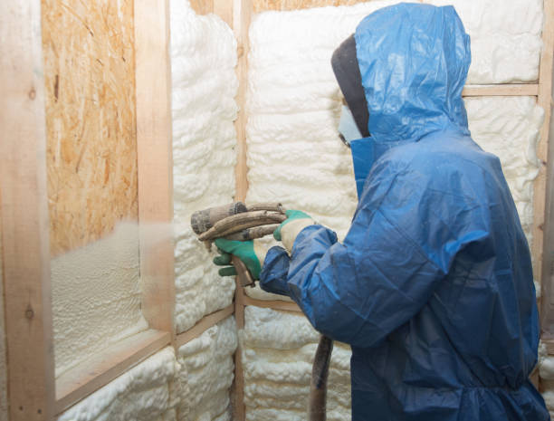 Best Eco-Friendly or Green Insulation Solutions  in Sully Square, VA